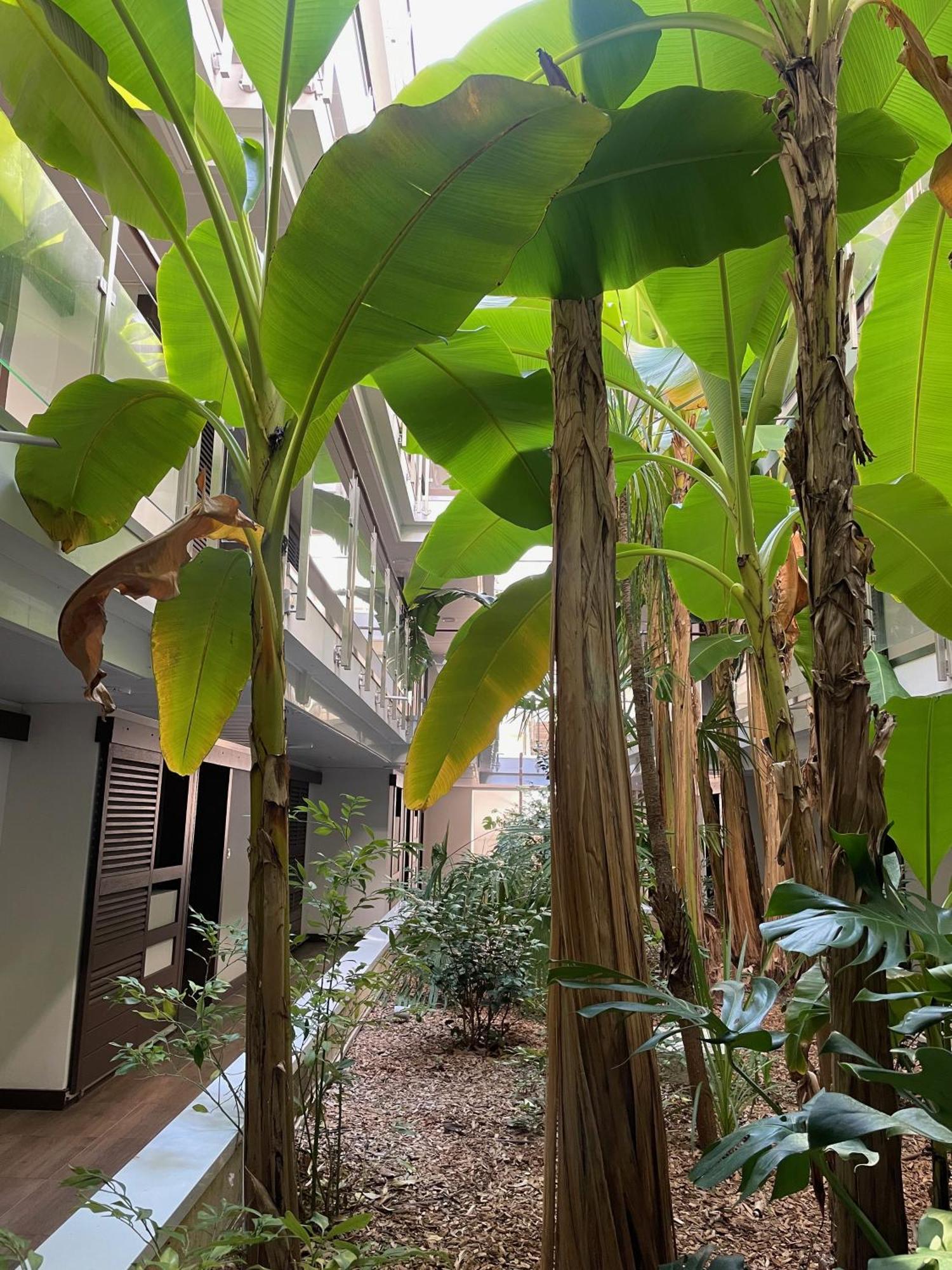 昂蒂布Studio Vista公寓 外观 照片